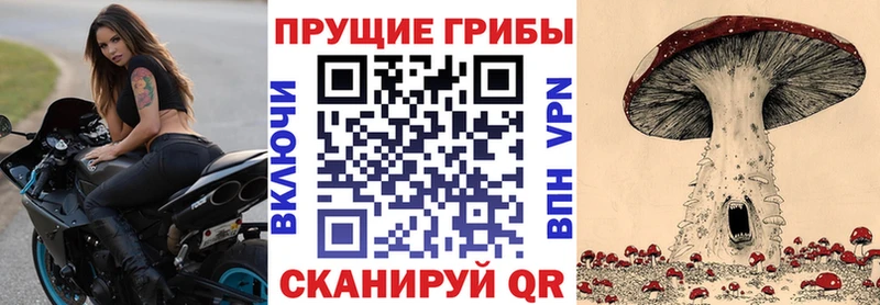 купить наркоту Белово Псилоцибиновые грибы GOLDEN TEACHER