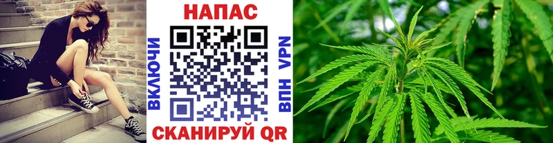 Шишки марихуана Bruce Banner  Белово 